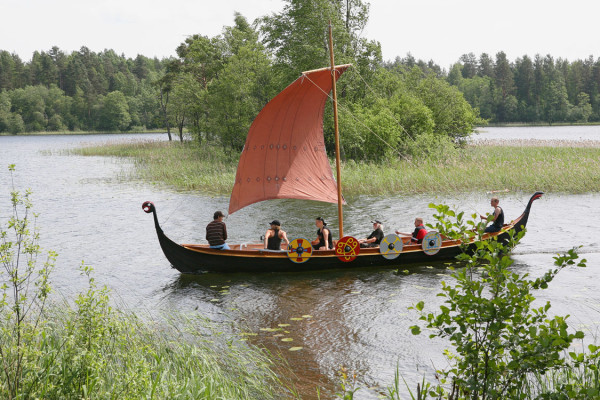 Projekt Euro Viking